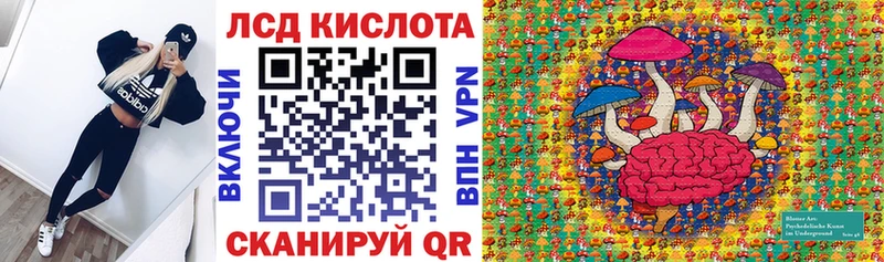 Купить закладки  Богучар  Марки N-bome 1,8мг 