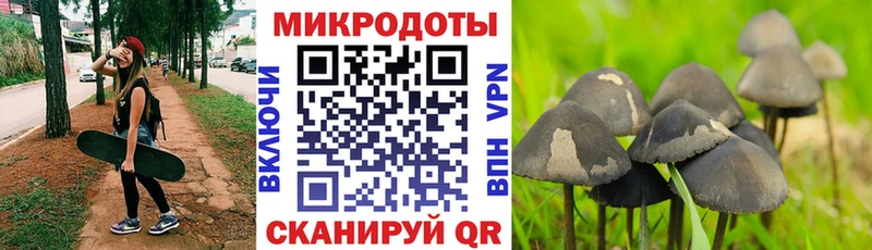 Галлюциногенные грибы Magic Shrooms  Купить  Богучар 