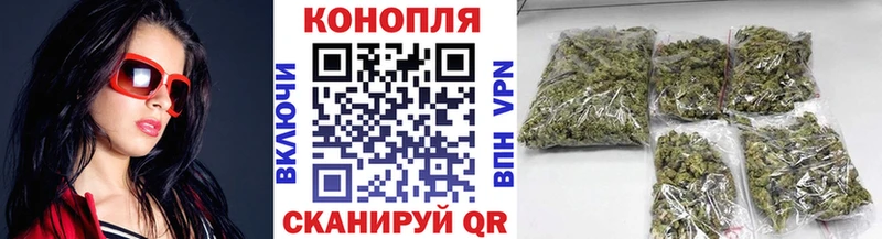 Купить  Богучар  Бошки Шишки планчик 